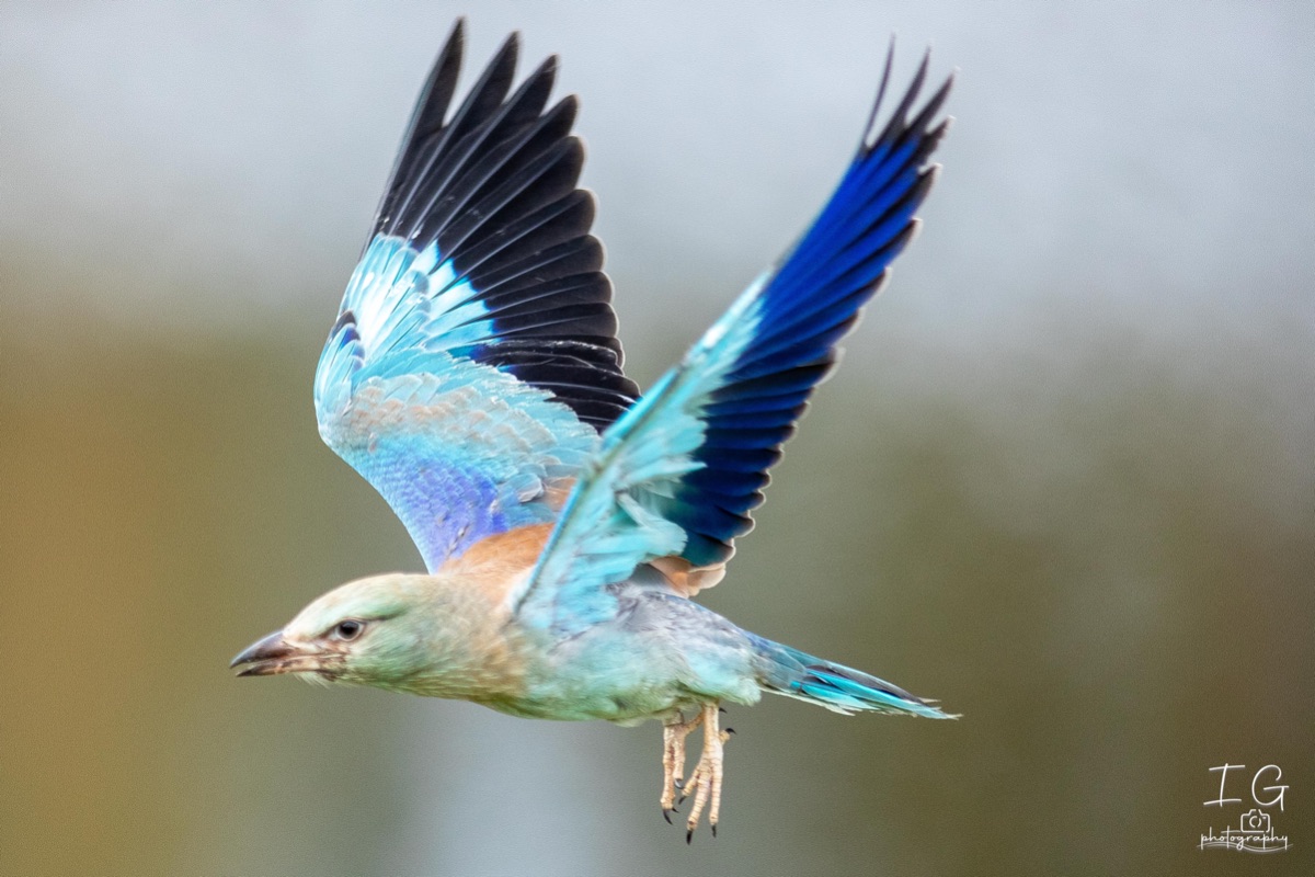 AK6I1805 31 oktober 2021 1535 27